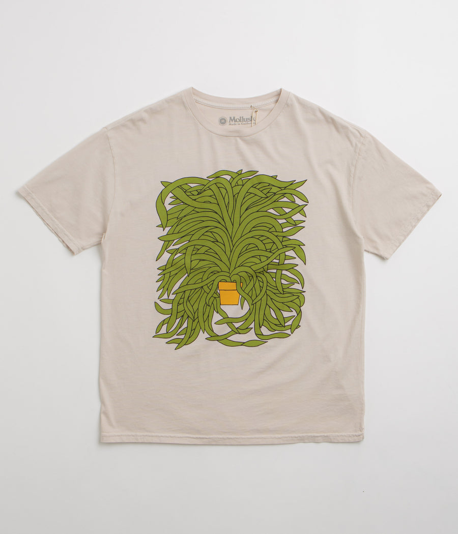 Mollusk Grow T-Shirt - Fog