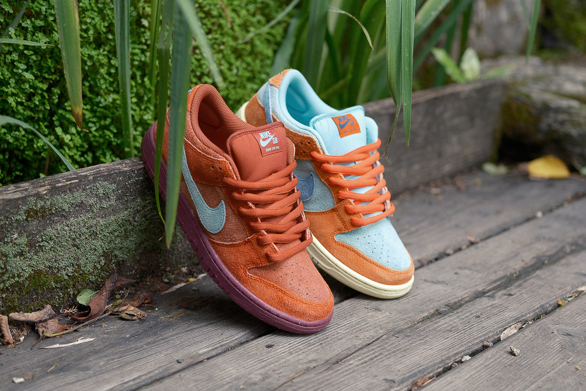 Nike SB Dunk Low Pro: Dictionary of Colour