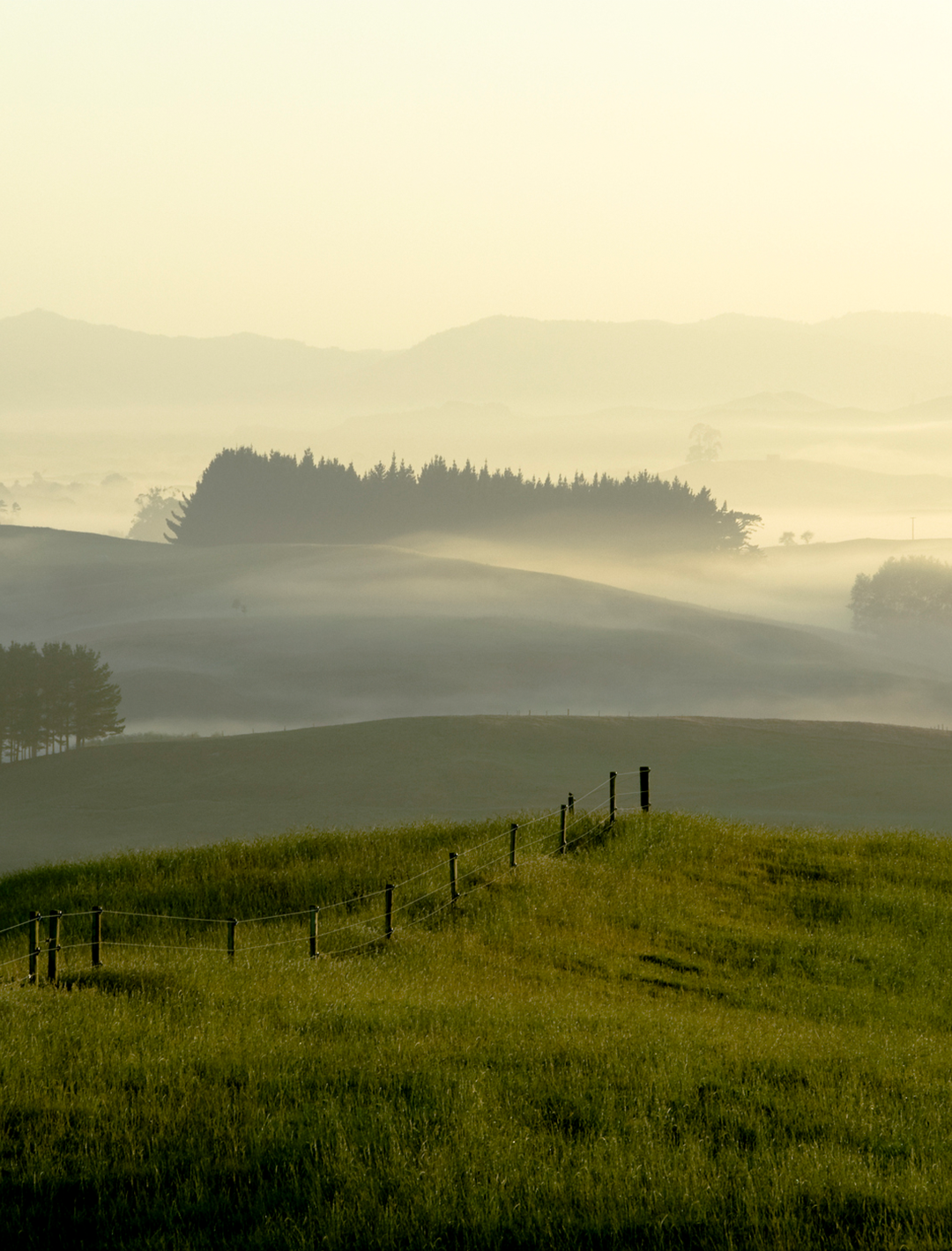 New Zealand farm landscape